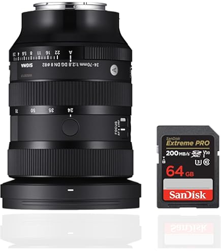 Amazon.com : 24-70mm F2.8 DGDN II for Sony E : Electronics